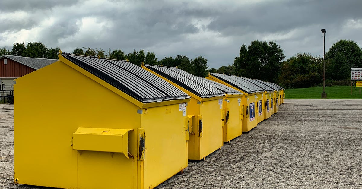 Benefits of Eco-Friendly Skip Bin Services for Local Residents