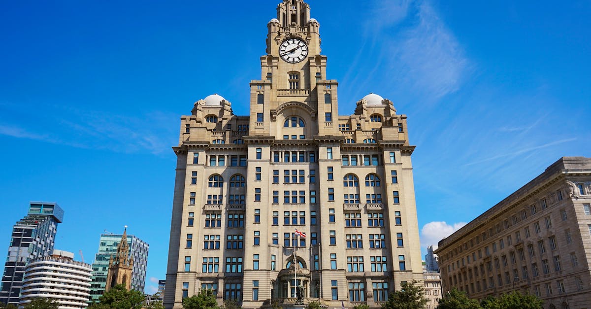 Builders Skip Bins: A Convenient Choice for Ongoing Renovation Work