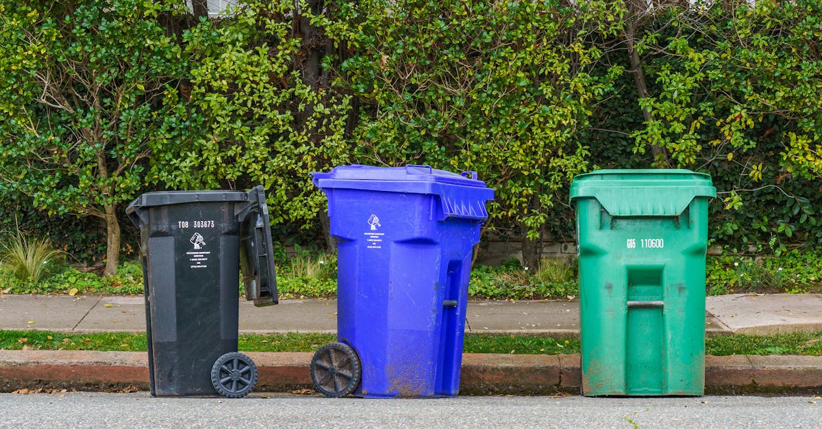 Comparing Residential Skip Bin Providers in Liverpool NSW
