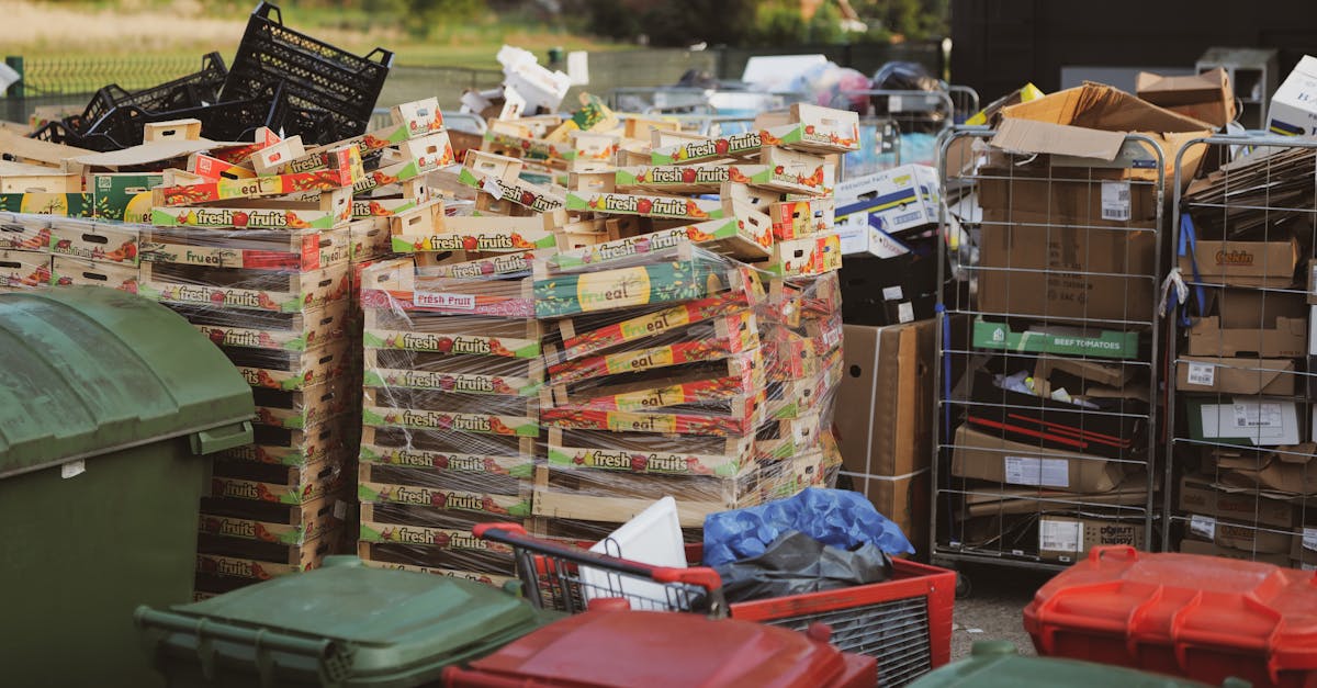 Consumer Tips for Effective Household Recycling in Liverpool