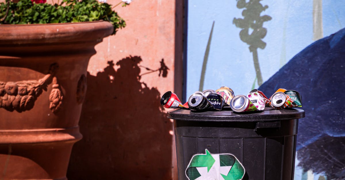 DIY Hazardous Waste: Tips for Safe Disposal in Skip Bins