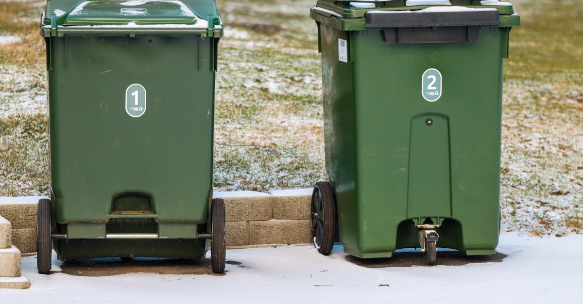 How to Reduce Your Carbon Footprint with Green Waste Disposal