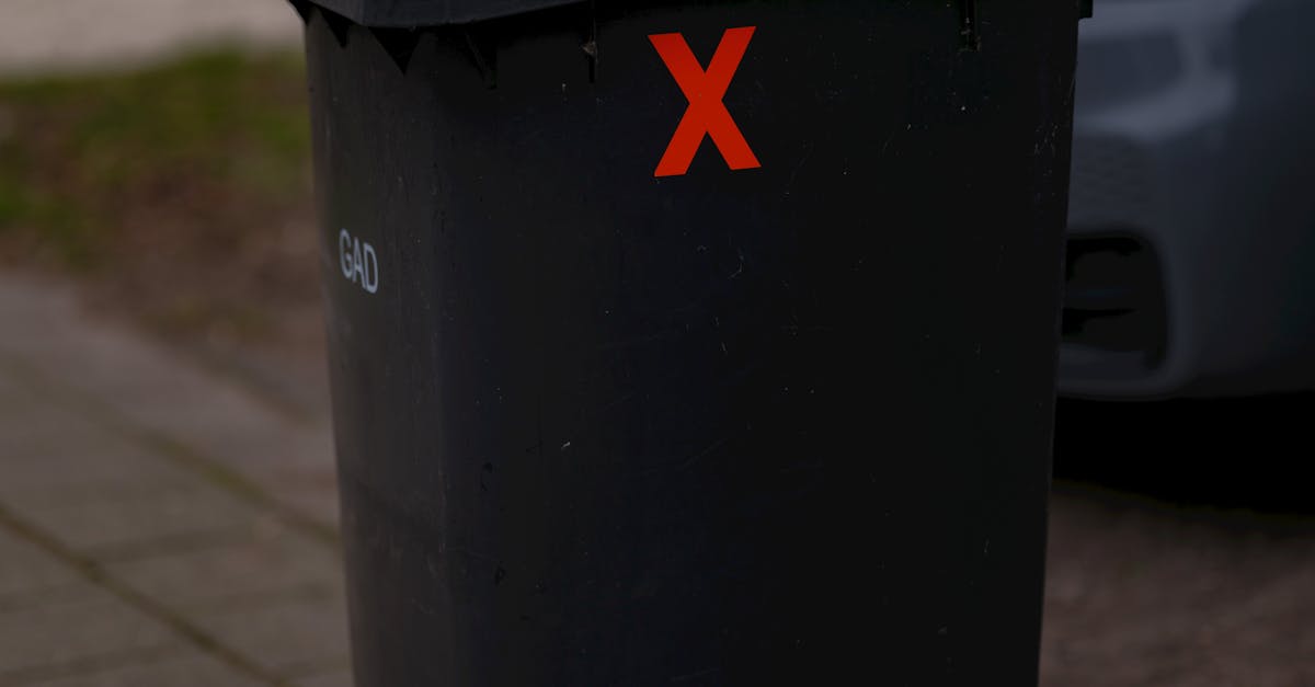 Understanding the Regulations Around Large Skip Bin Use