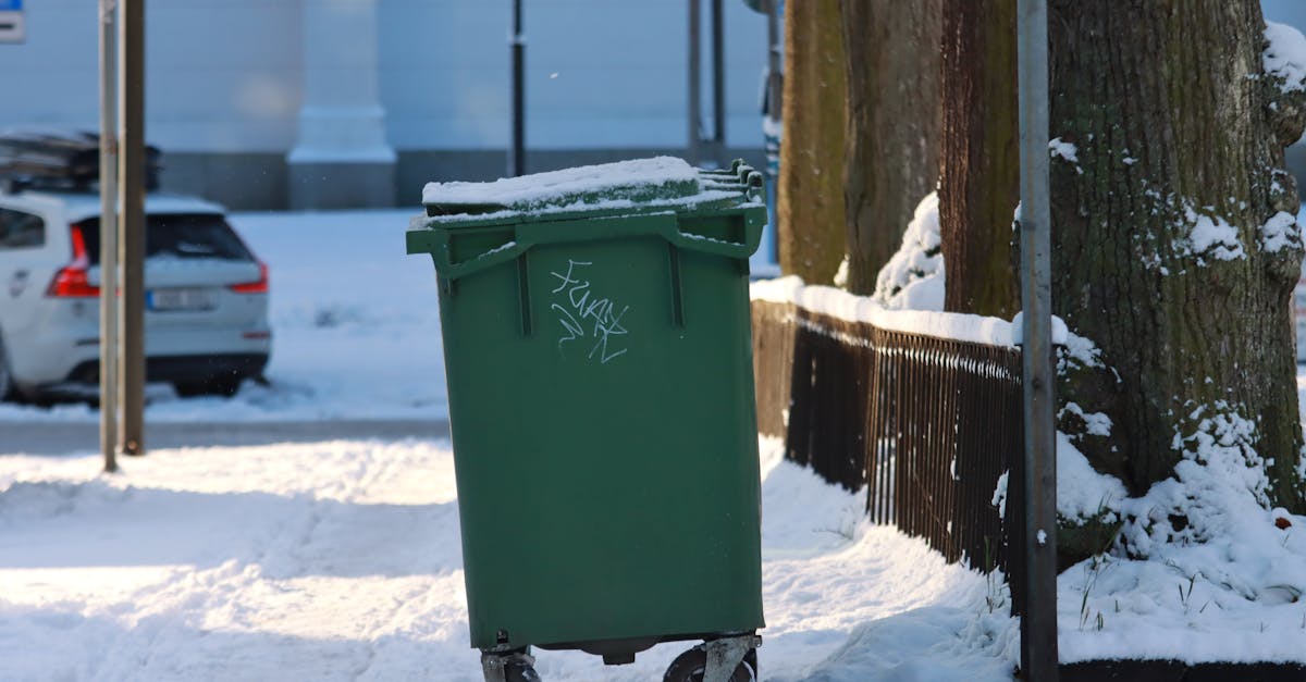 What to Expect with Same Day Skip Bin Hire in Liverpool NSW